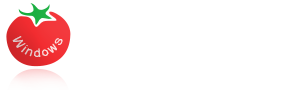 番茄装机一键装机大师 免费重装系统 u盘启动盘制作工具 制作pe启动盘